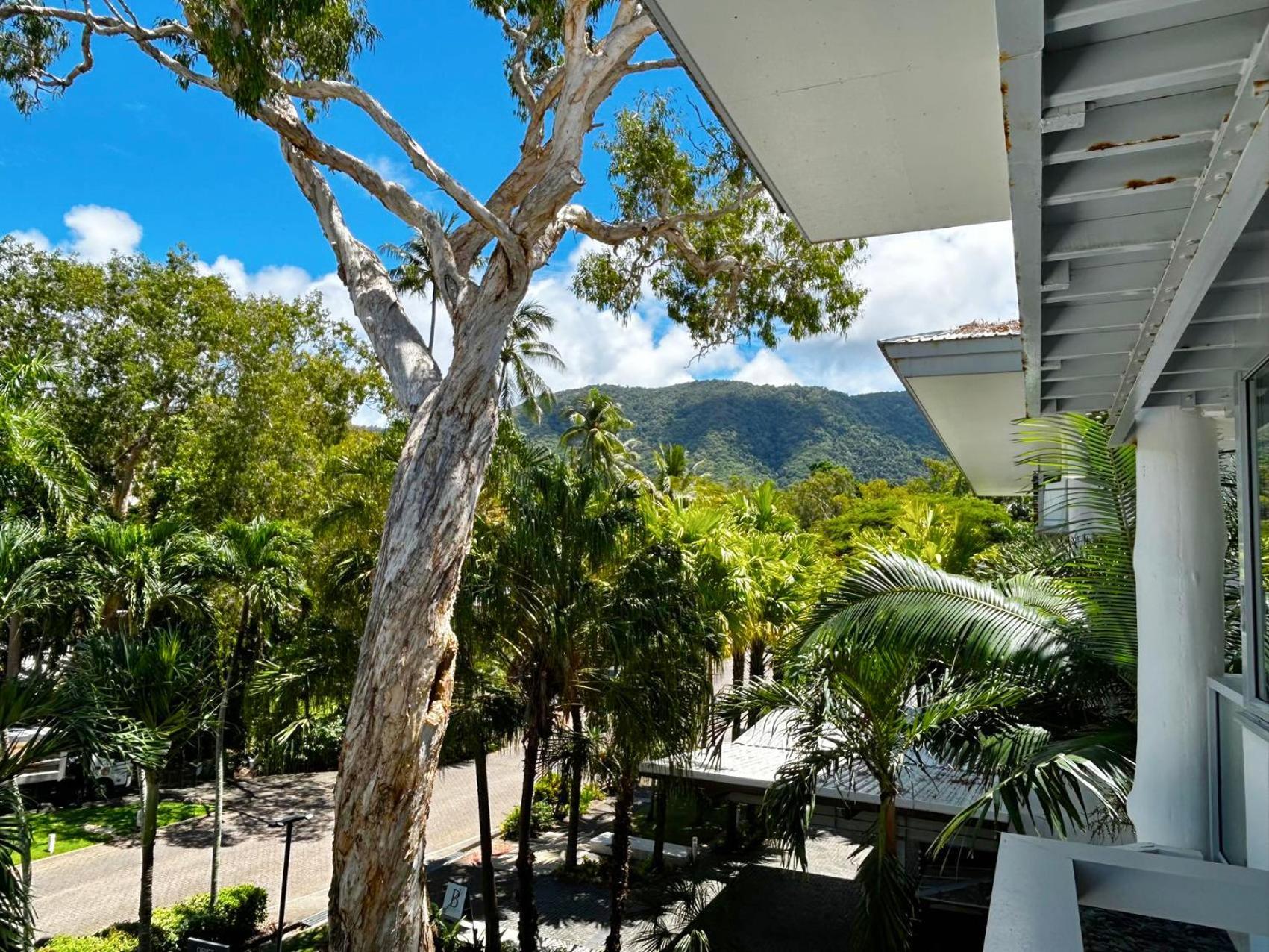 Palm Cove Beachside Apartments - Pool And Garden Views 外观 照片